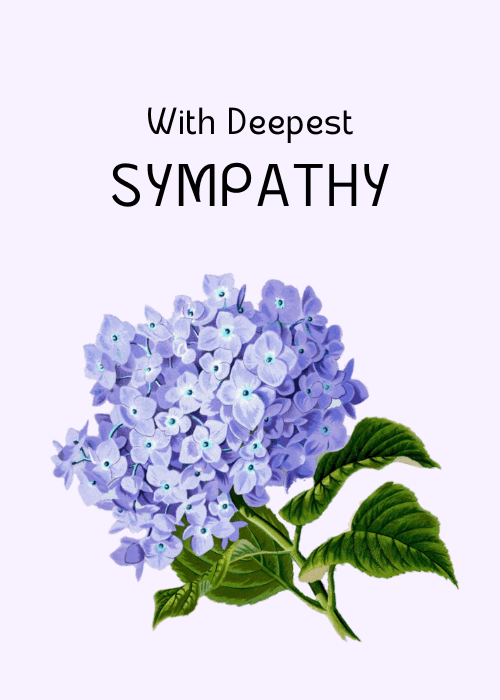 Purple watercolor hydrangea on a lavender background with sympathy text